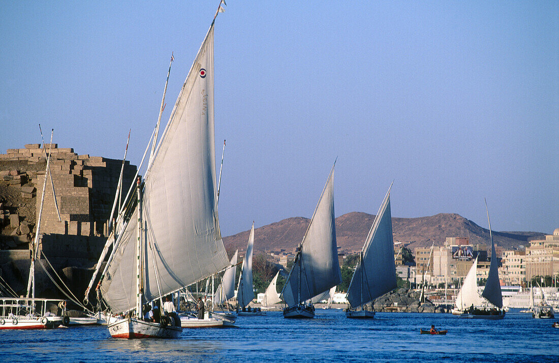 Feluccas on Nile River. Aswan, Egypt