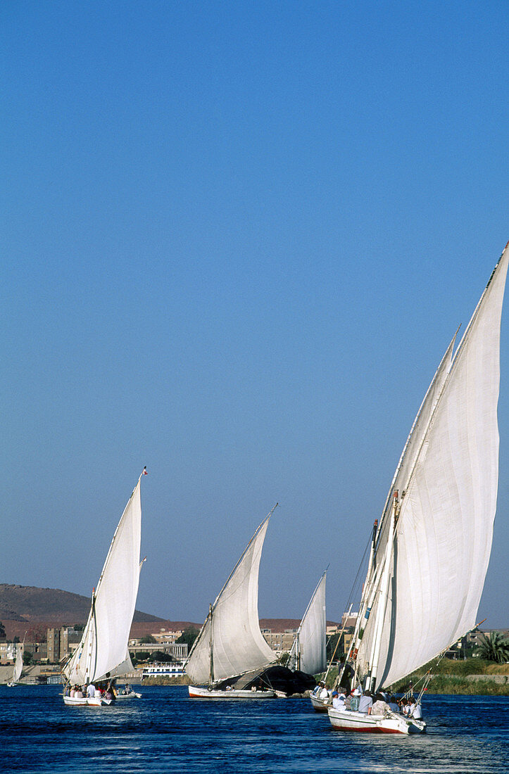 Feluccas on Nile River. Aswan, Egypt