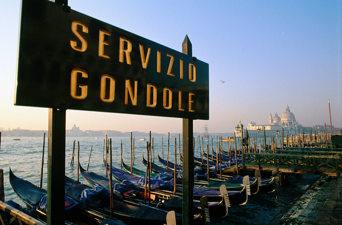 Gondolas and Santa Maria della Salute church in background. Venice. Italy