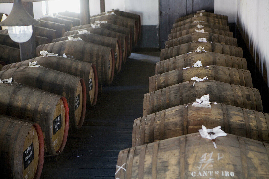 The Blandy s cellars of Madeira wines in Funchal. Island of Madeira. Portugal