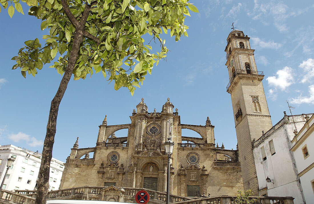 Cathedral (built 17th century). Jerez de la Frontera. Cádiz province. Spain
