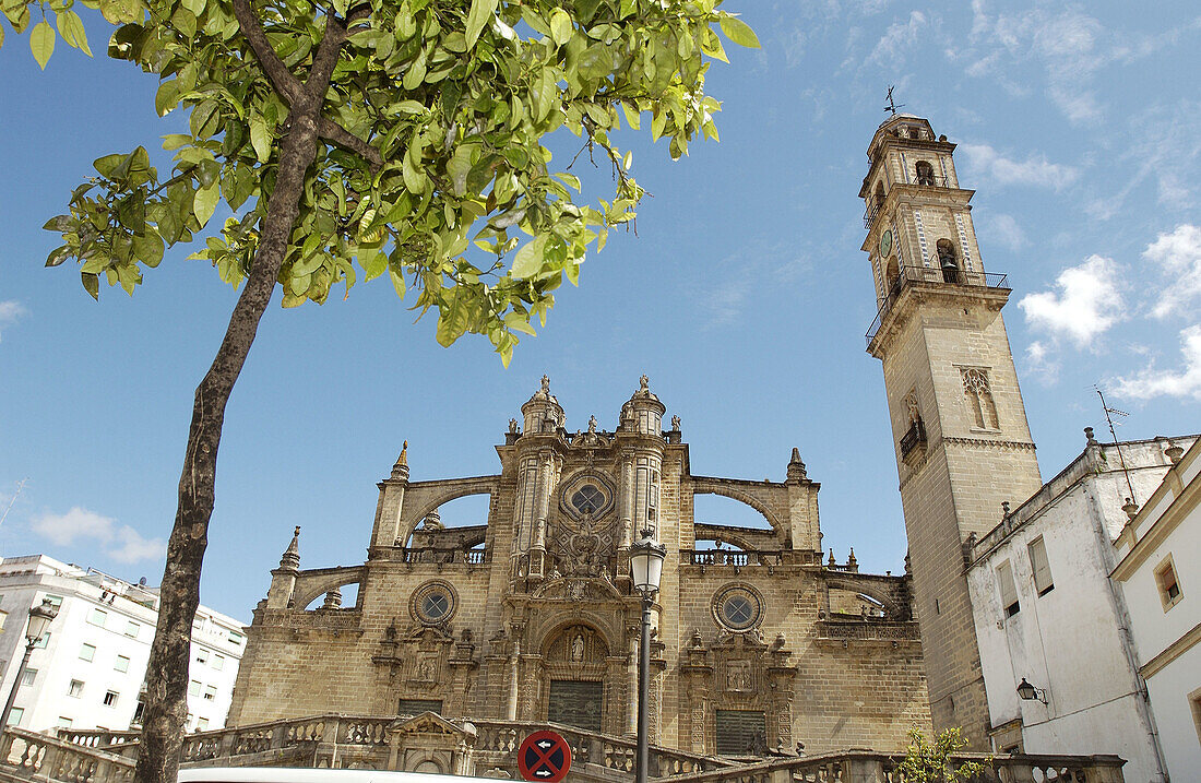 Kathedrale (erbaut im 17. Jahrhundert). Jerez de la Frontera. Provinz Cádiz. Spanien