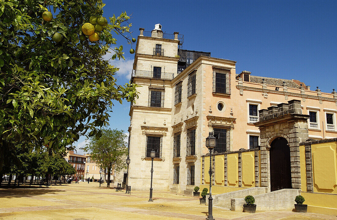 The Alcázar. Jerez de la Frontera. Cádiz province. Spain