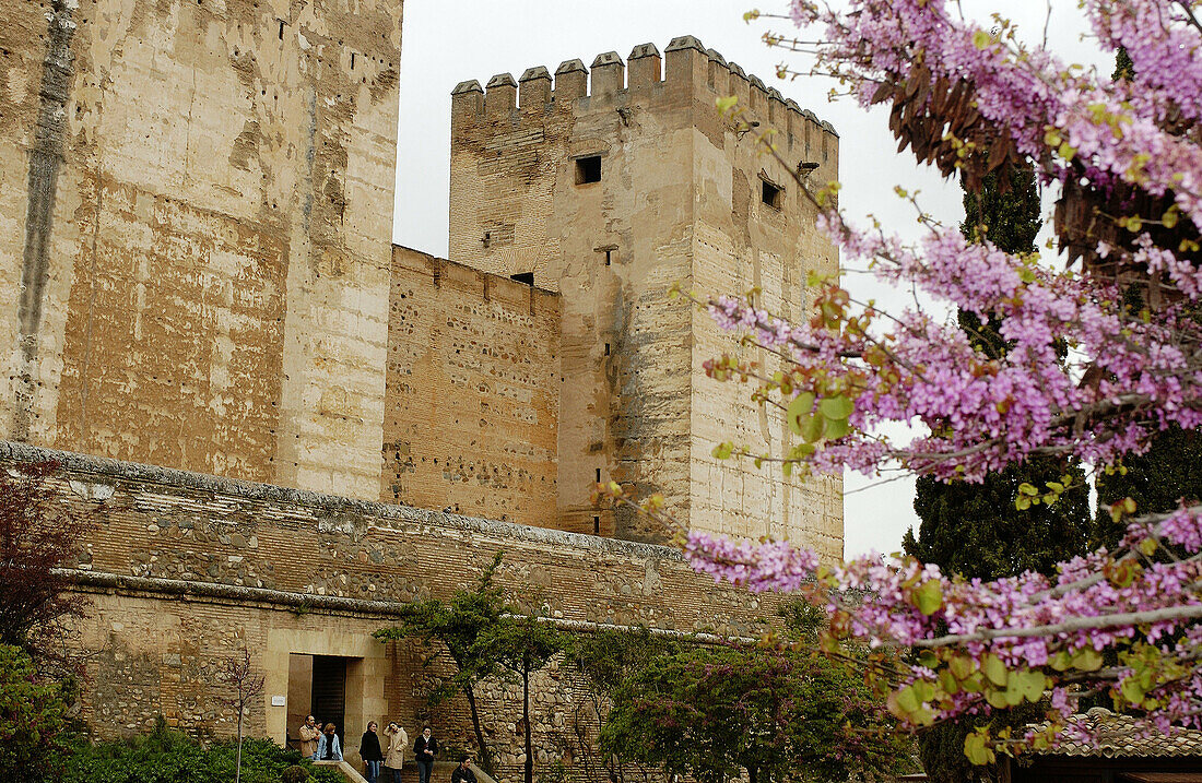 Alcazaba, Alhambra. Granada. Spanien