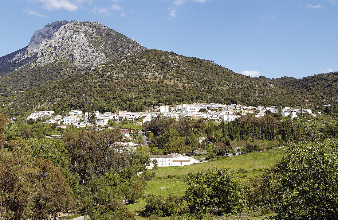 Naturpark Sierra de Grazalema und Stadt Benamahoma. Provinz Cádiz. Spanien