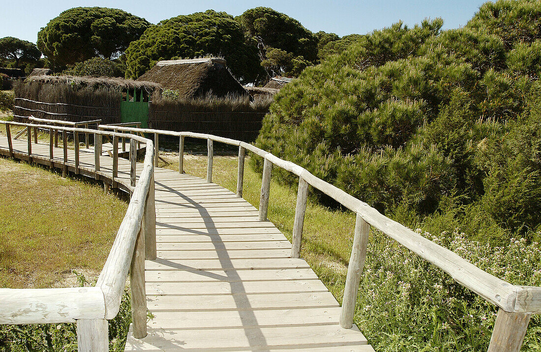 Chozos (typical dwellings) and footbridge at La Plancha village. Doñana National Park. Huelva province. Spain