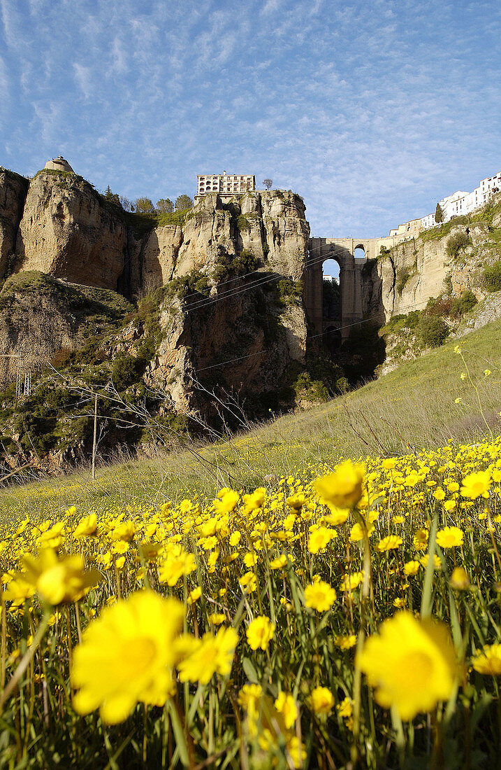 Puente Nuevo, Brücke. Ronda. Provinz Malaga. Spanien