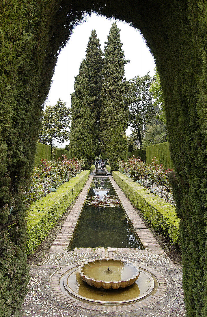 Gärten des Generalife, Alhambra. Granada. Spanien