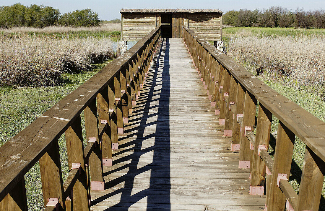 Tablas de Daimiel National Park. Ciudad Real province. Spain