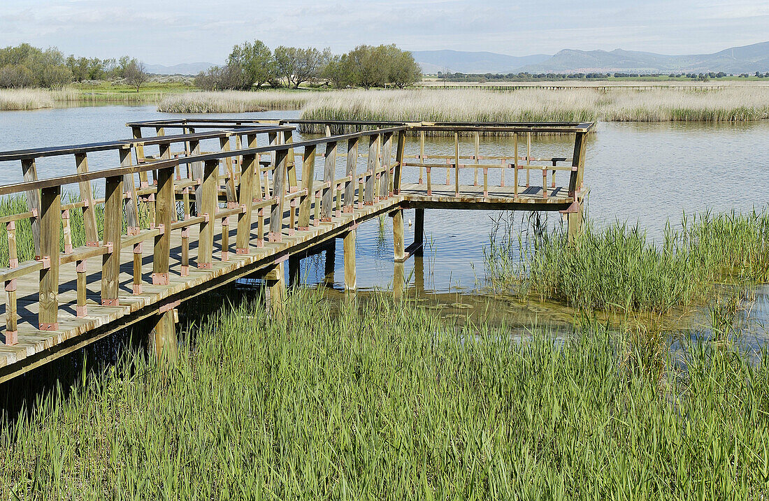 Nationalpark Tablas de Daimiel. Provinz Ciudad Real. Spanien