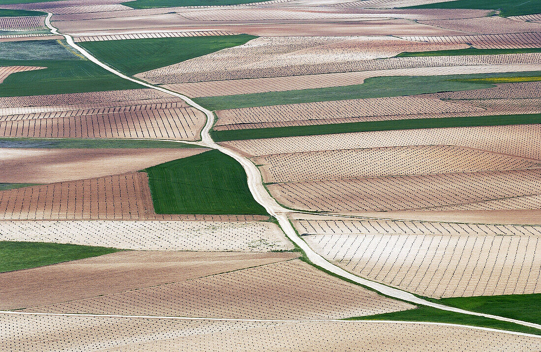 Country landscape. Toledo province. Spain