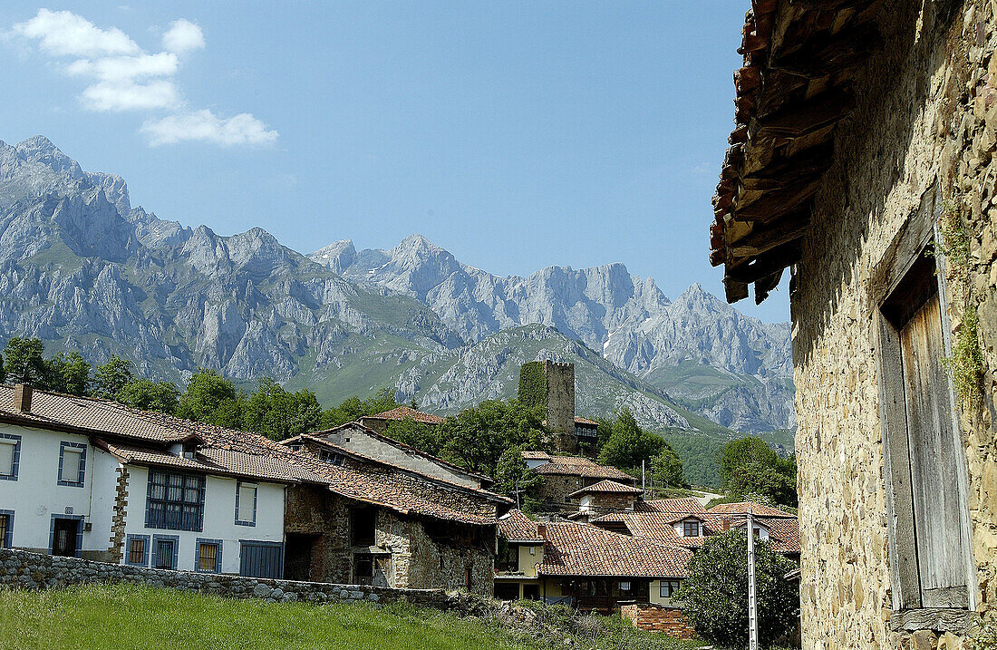 Mogrovejo und Picos de Europa im Hintergrund. Kantabrien, Spanien