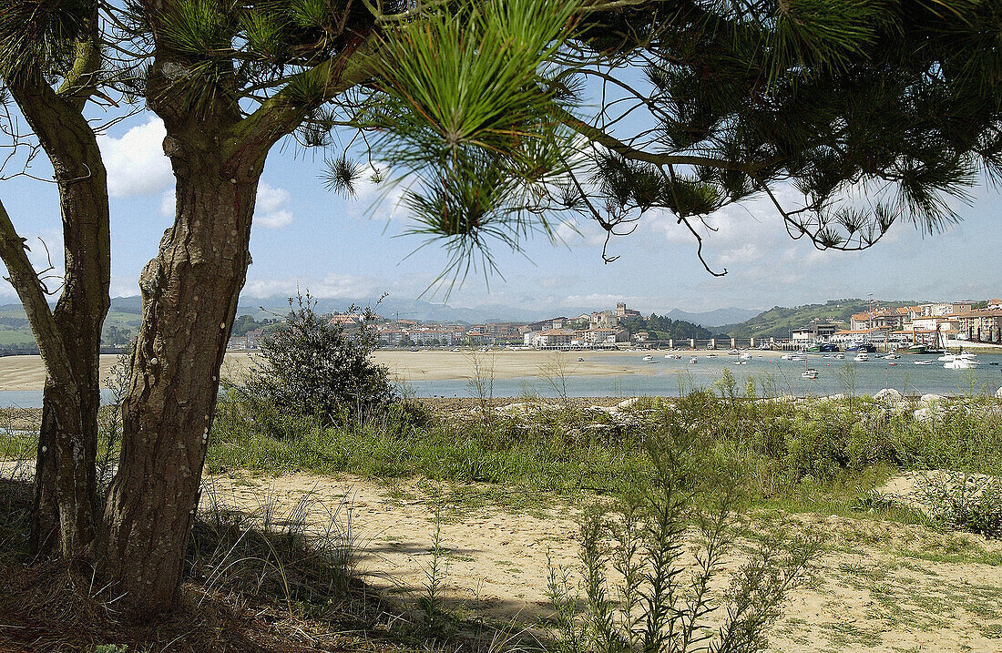 Ría de San Vicente. Parque Natural de Oyambre. San Vicente de la Barquera. Kantabrien. Spanien