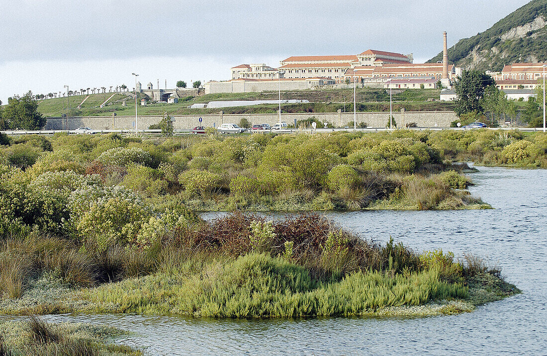 Reserva Natural de las Marismas de Santoña und Penal del Dueso im Hintergrund. Kantabrien, Spanien