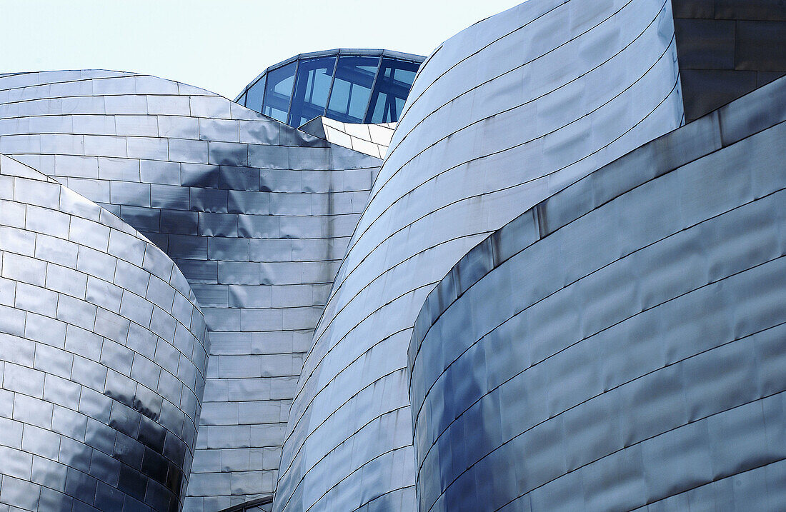 Guggenheim Museum (building by Frank O. Gehry). Bilbao. Biscay. Basque Country. Spain