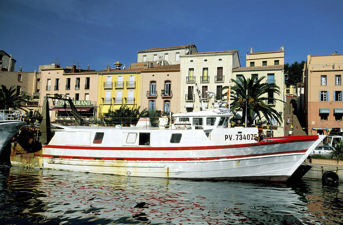 Harbour. Banyuls-sur-mer. Pyrenees-Orientales. Languedoc Roussillon. France