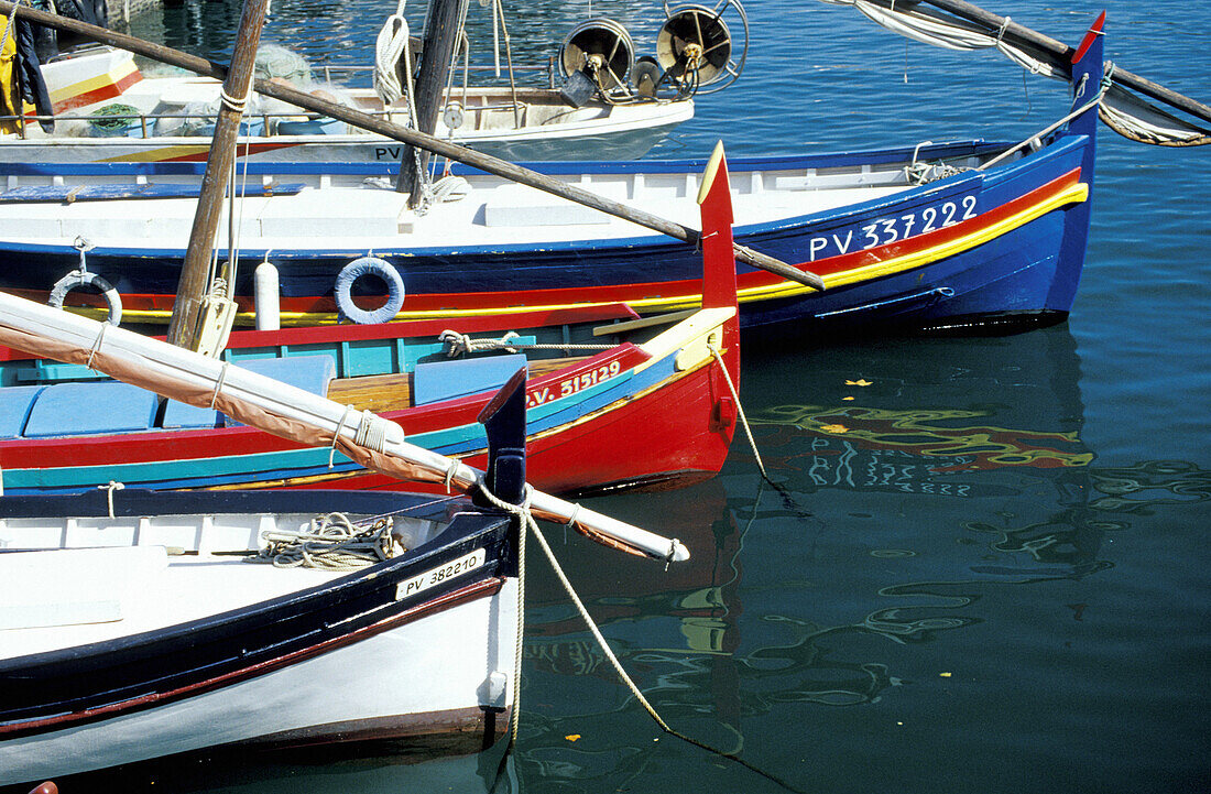 Traditional Catalan boats. Historic Village and Harbour. Collioure. Pyrenees-Orientales. Languedoc Roussillon. France