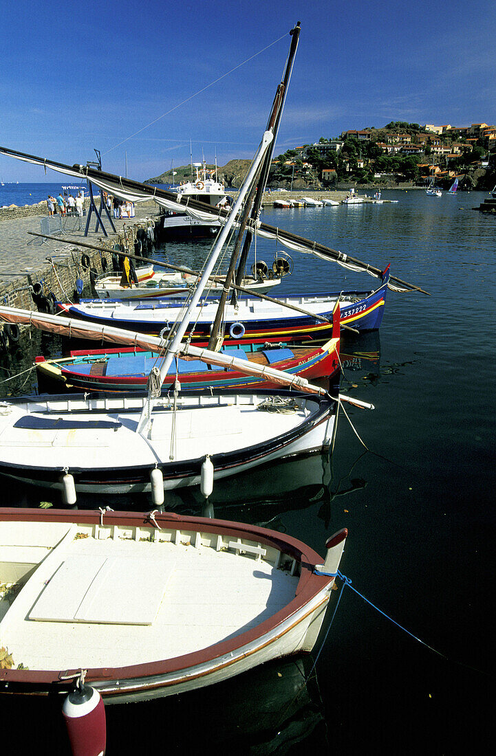 Traditional Catalan boats. Historic Village and Harbour. Colliure. Pyrenees-Orientales. Languedoc Roussillon. France