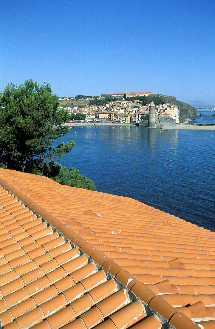 Roof and overview on the bay. Historic Village and Harbour. Colliure. Pyrenees-Orientales. Languedoc Roussillon. France
