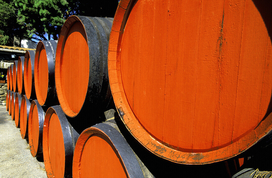 Oak casks stored outside at the sun for Banyuls wine traditional ageing. Cellier des Templiers. Banyuls-sur-mer. Pyrenees-Orientales. Languedoc Roussillon. France