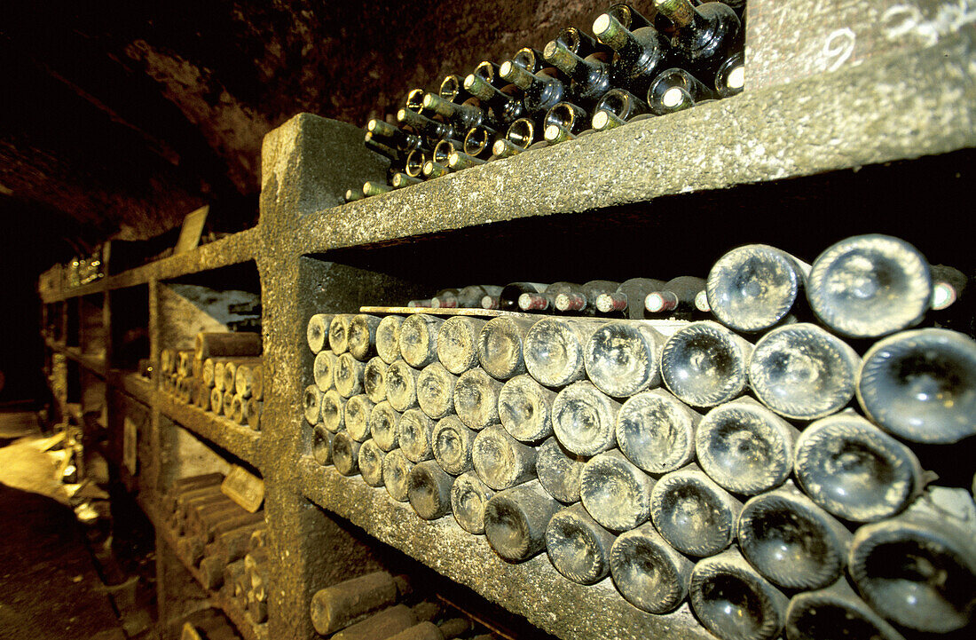 Very old bottles of Banyuls. Cellier des Templiers. Banyuls-sur-mer. Pyrenees-Orientales. Languedoc Roussillon. France