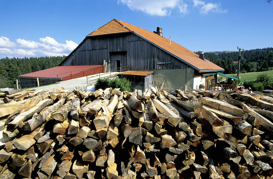 Saw Mill. Wood industry. Doubs. Franche-Comte. France