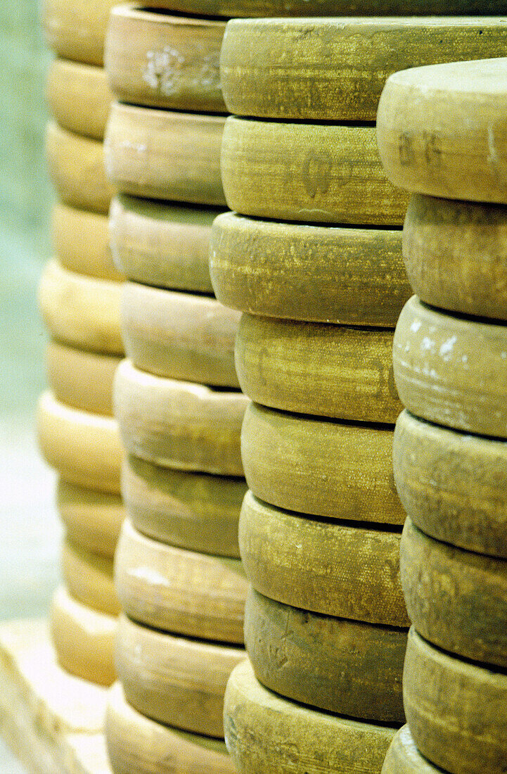 Maturing cellars for Comte Cheese. Fort Saint Antoine. Doubs. Franche-Comte. France