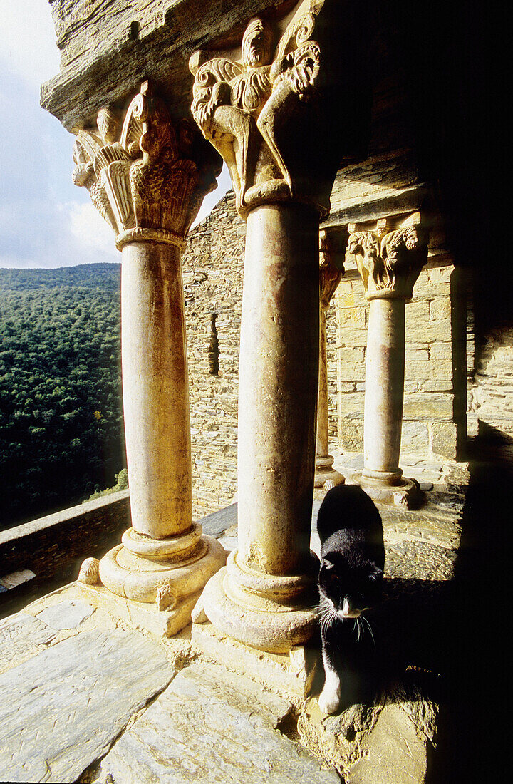 Gallery of Serrabone priory, built 11th century. Pyrenees-Orientales. Languedoc Roussillon. France