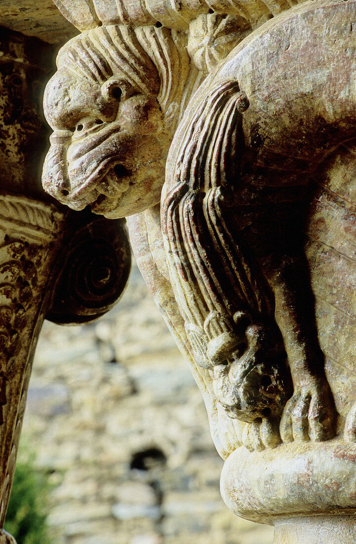 Lion, detail of capitals at gallery of Serrabone priory, built 11th century. Pyrenees-Orientales. Languedoc Roussillon. France