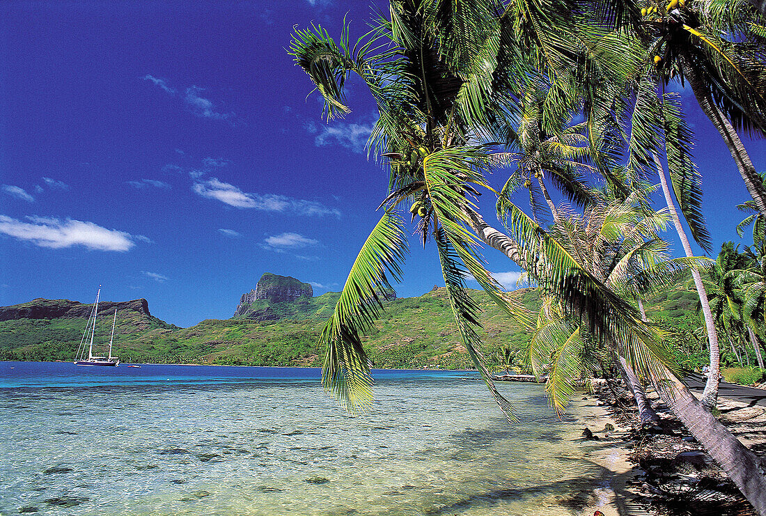 Bora-Bora island lagoon. French Polynesia