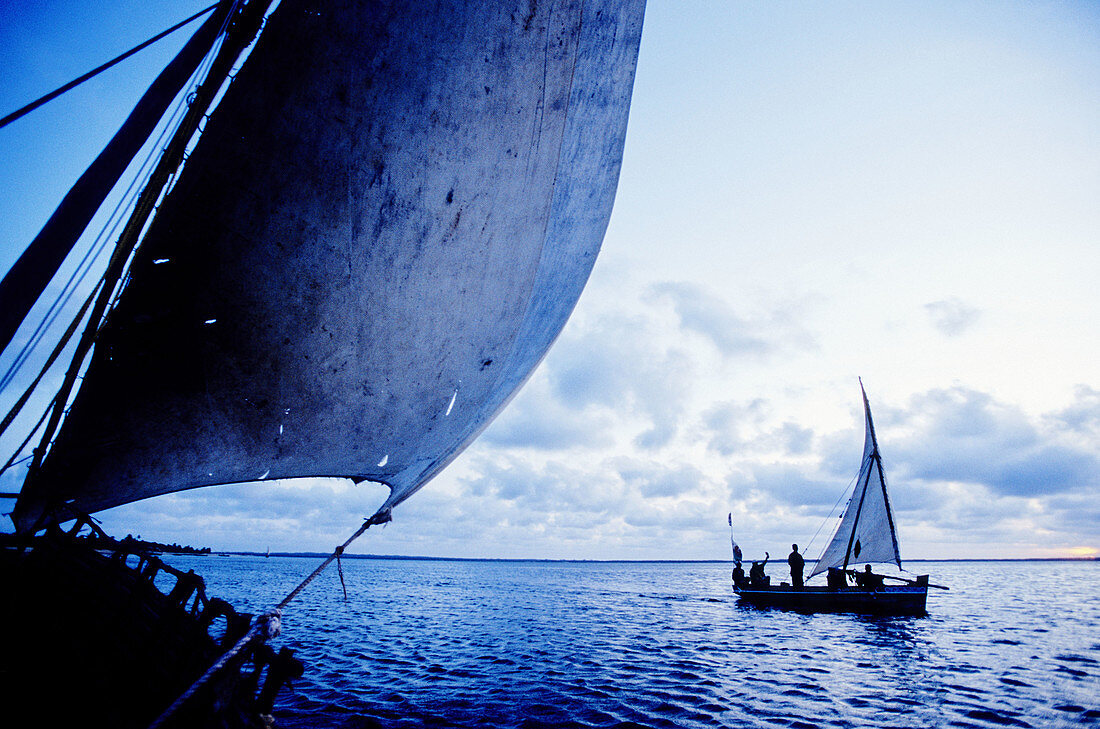 Dhow (local sailingboat). Lamu Island. Indian Ocean Coast. Kenya