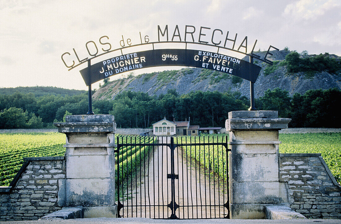 Clos de la Marechale gate. Côte de Nuits. Côte d Or. Burgundy. France.