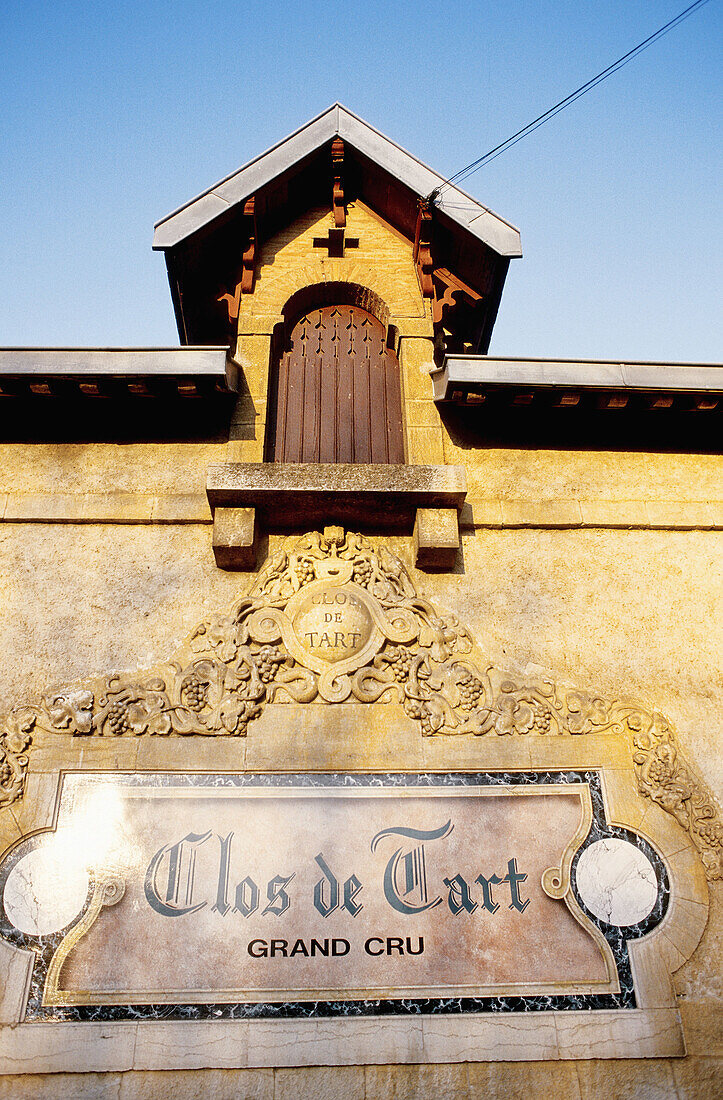 Famous Clos de Tart vineyards. Côte de Nuits. Côte d Or. Burgundy. France.