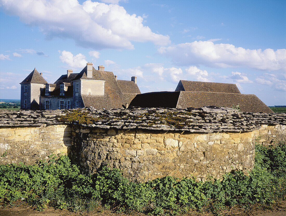 Castle and vineyards, Clos Vougeot. Burgundy. France