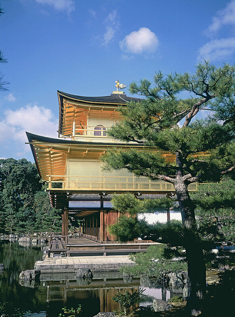 Kinja Ku Ji (Golden Pavilion). Kyoto in spring. Japan.