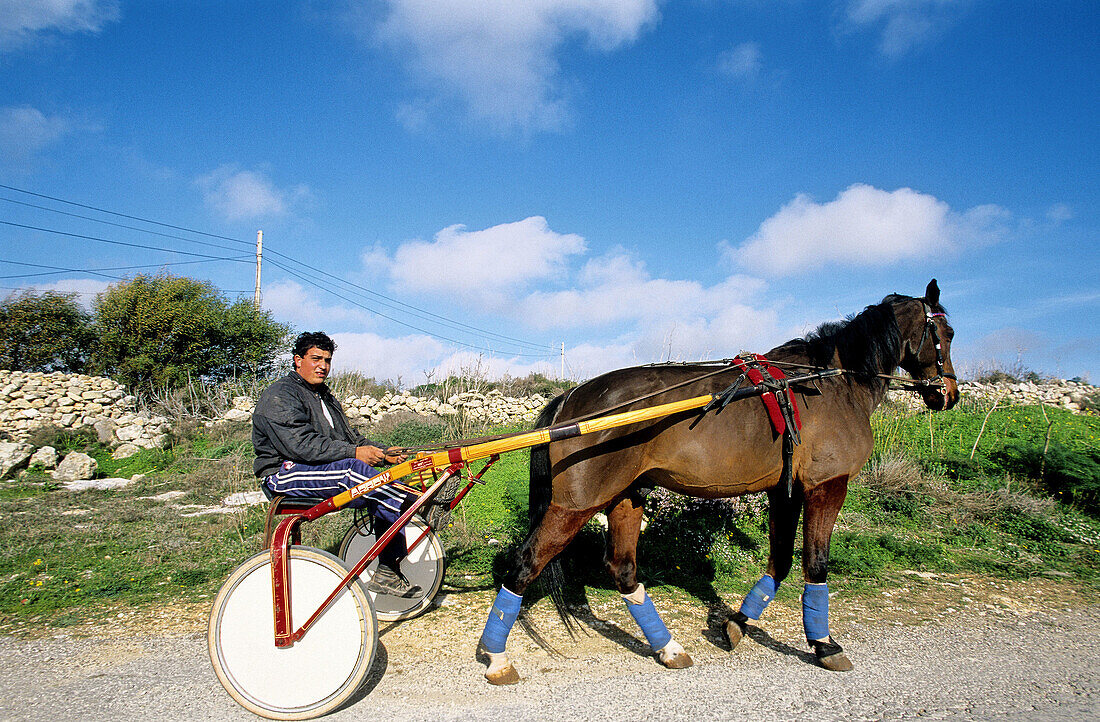 Man on a Sulky training for his next races. Gozo island. Malta.
