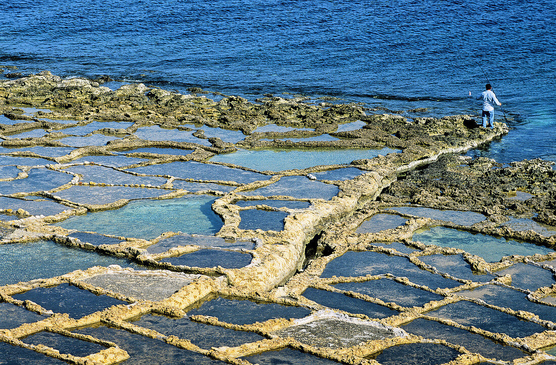 Salted marshes carved in the rock. Gozo island. Malta.