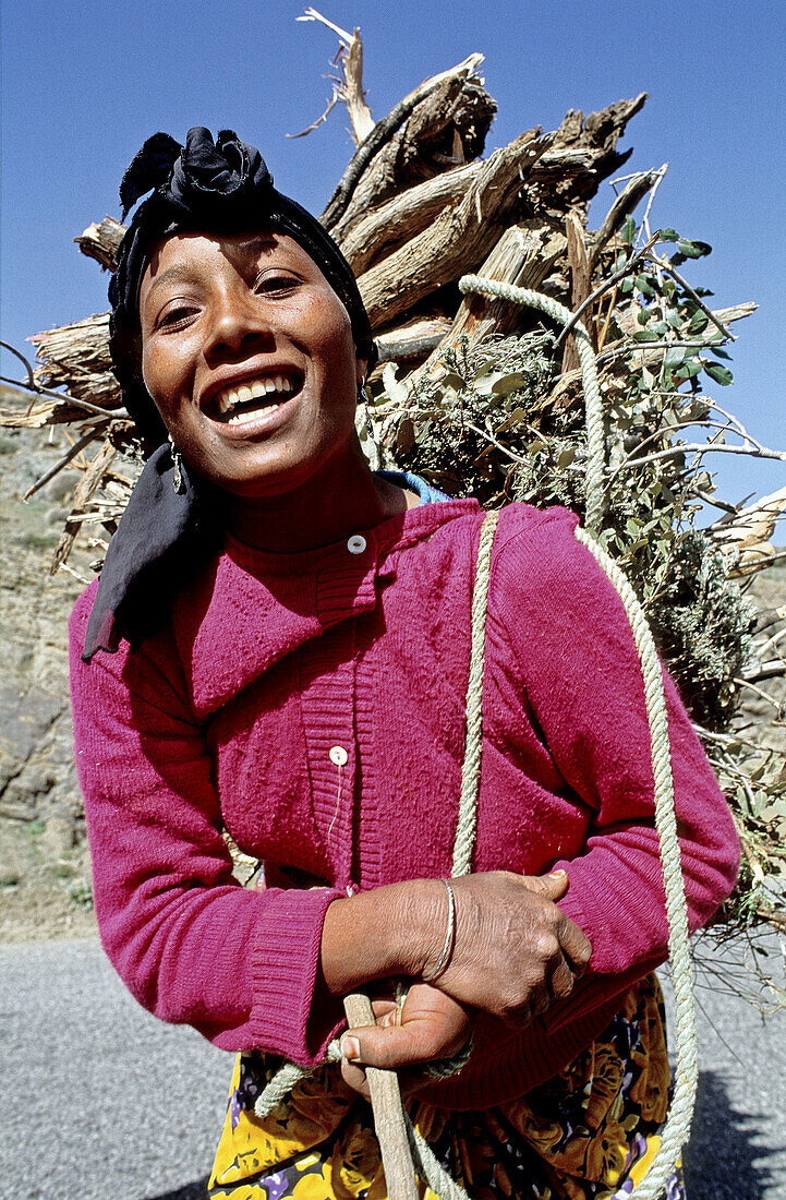 Berber woman fetching dried wood, village in the Atlas mountains. South, Ouarzazate region. Morocco.