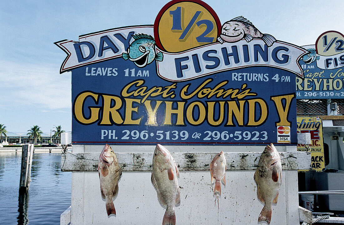 Fishing is a local must in Key West. Florida, USA