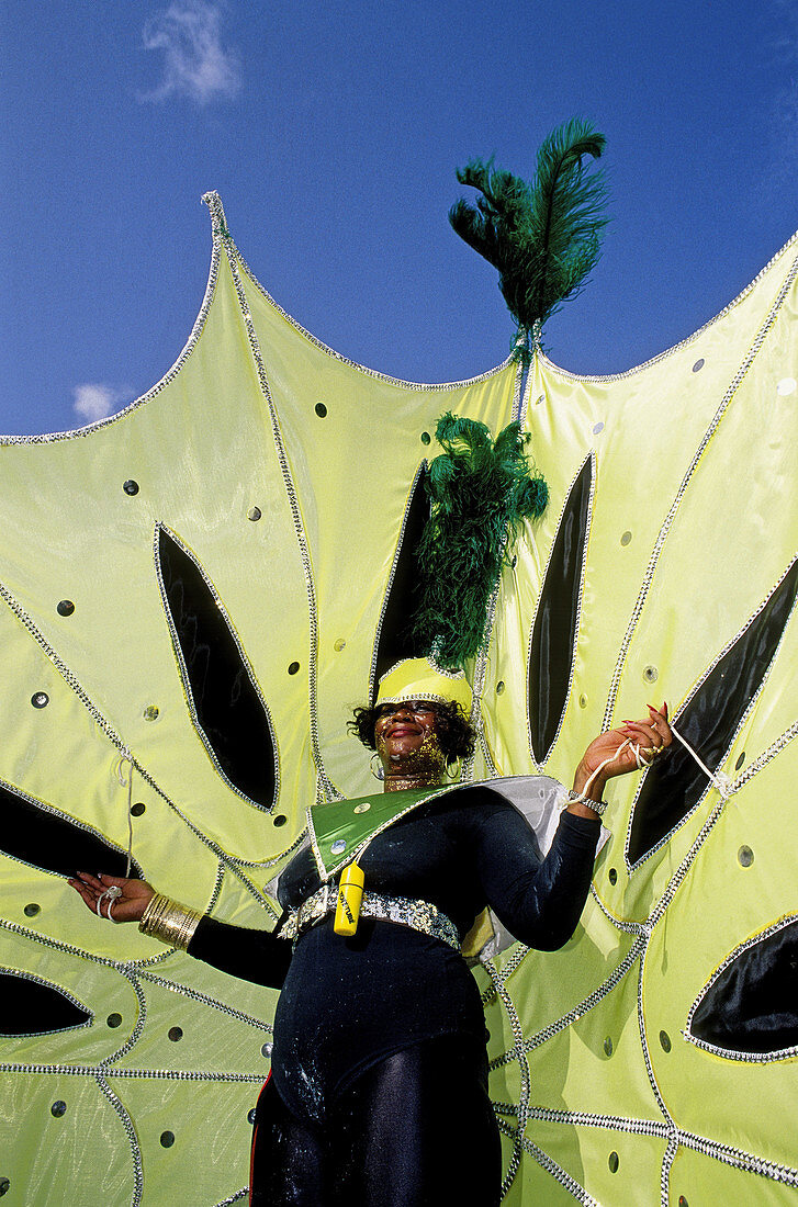 Mardi-Gras parade. Grenada Island. Caribbean