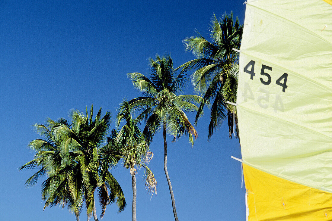 Sail. Grand Anse beach. Grenada, Caribbean