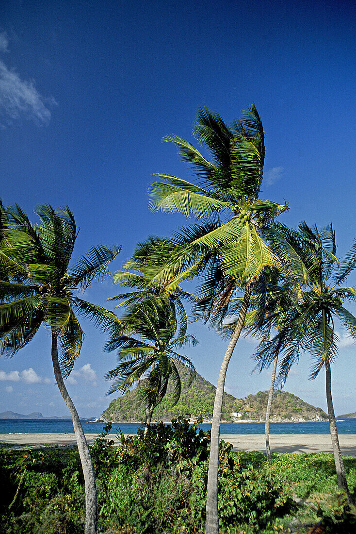 Seaside, at back Petit-Martinique island. Grenada island. Caribbean
