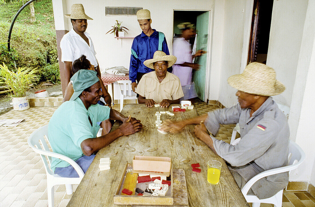 Local people playing dominos. Martinique island. French antilles (caribbean)