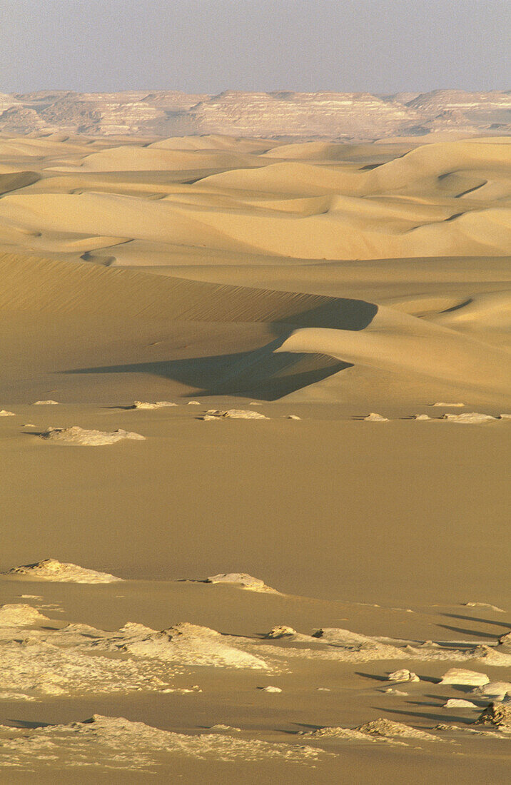 Great Sand Sea, Lybian desert, Siwa Oasis. Egypt