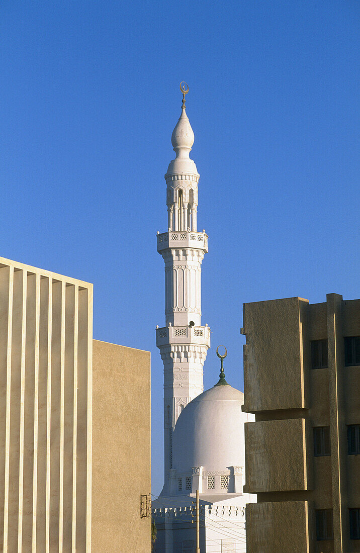 Mosque and minaret, Kharga Oasis. Lybian desert, Egypt