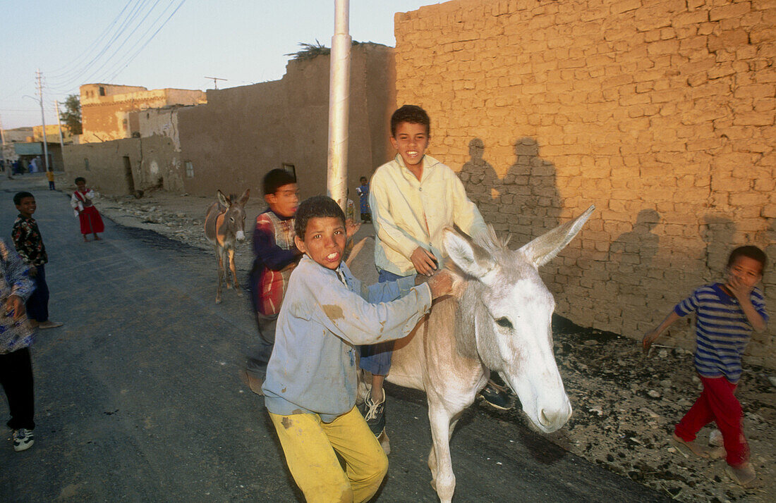 Bashendi village in Dakhla oasis. Lybian desert, Egypt