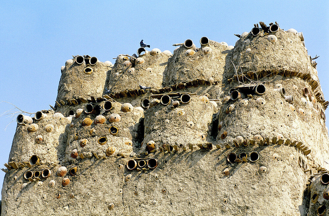 Pigeon house. Al Fayyum oasis, Libyan desert. Egypt