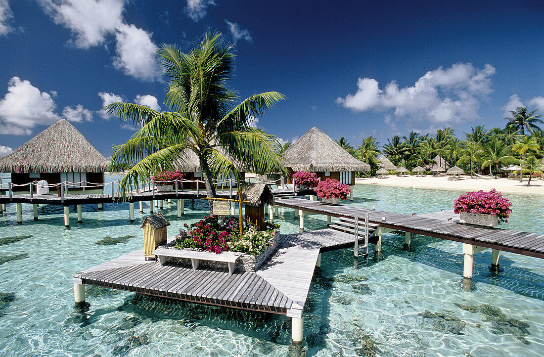 Bora-Bora in the Leeward islands. Society archipelago. French Polynesia