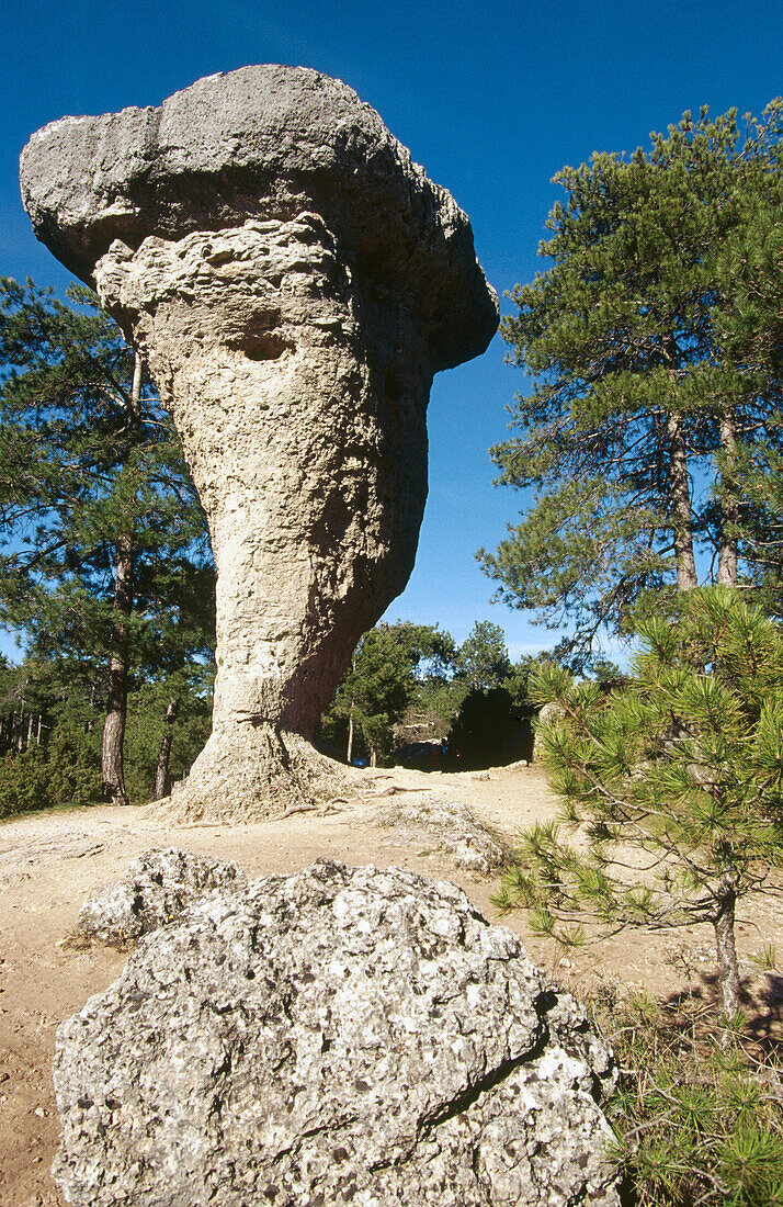 El Tormo Alto. Ciudad Encantada. Provinz Cuenca. Spanien