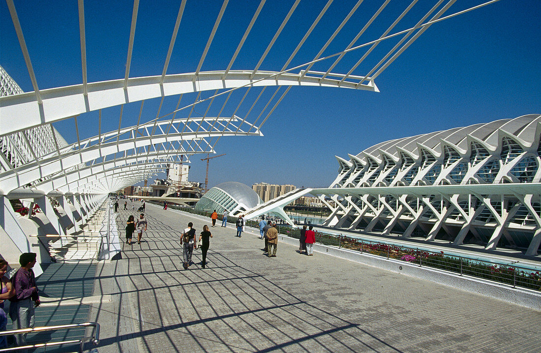 Museo de las Ciencias Príncipe Felipe, City of Arts and Sciences, by S. Calatrava. Valencia. Spain